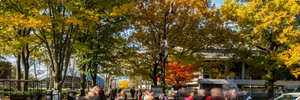 Fall foliage on trees and people crossing the street.